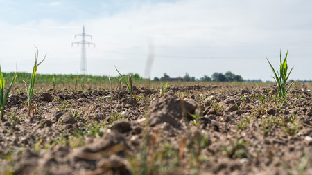 Klimawandel