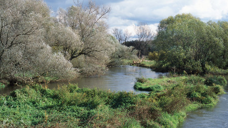 Weichholzaue an der Weißen Elster