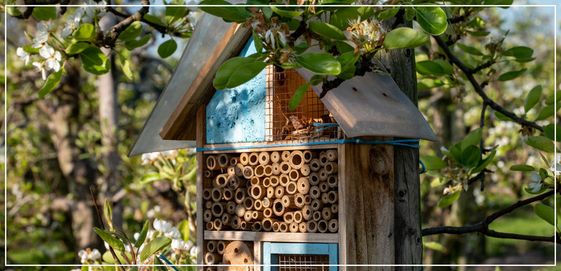 Insektenhotel am Baum