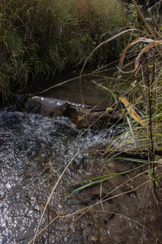 Nahaufnahme vom fließendem Wasser im renaturiertem Flutgraben