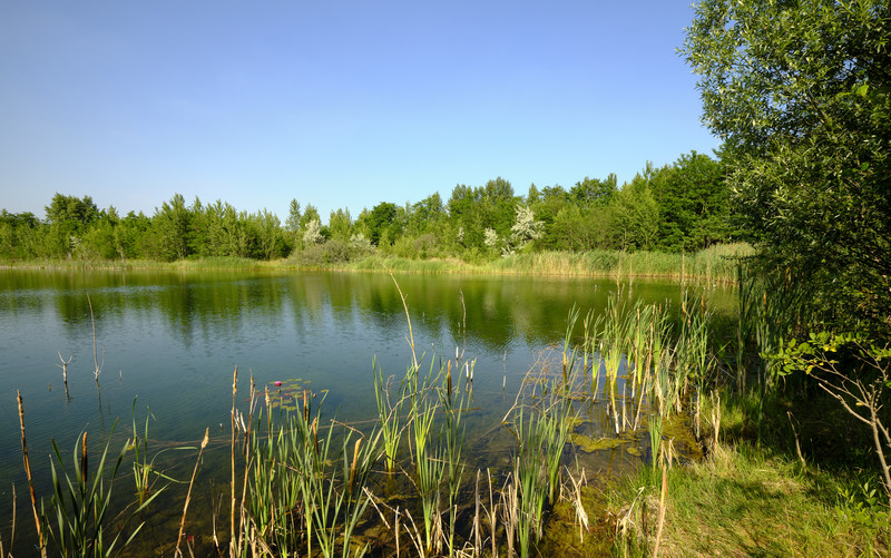 Sicht auf den Geiseltalsee