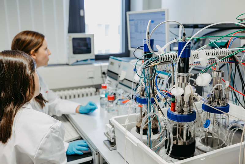 Studenten beim Testen verschiedener Katalysatoren und Lösungsmittel