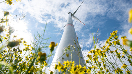 Windrad auf blühendem Feld